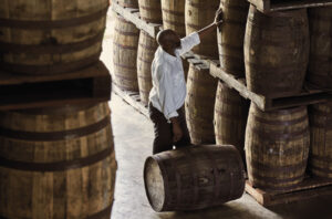 Checking rum barrels at Mount Gay Distillery Barbados