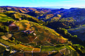 Barolo rising temperatures