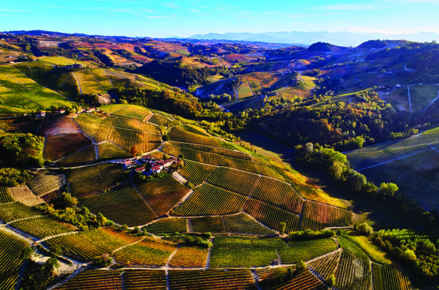 Barolo rising temperatures