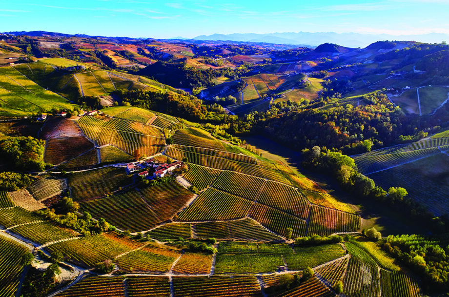 Barolo rising temperatures
