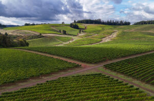 Willamette Valley 2023