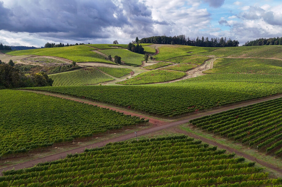 Willamette Valley 2023