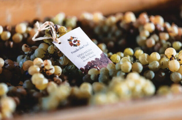 vin santo, garda