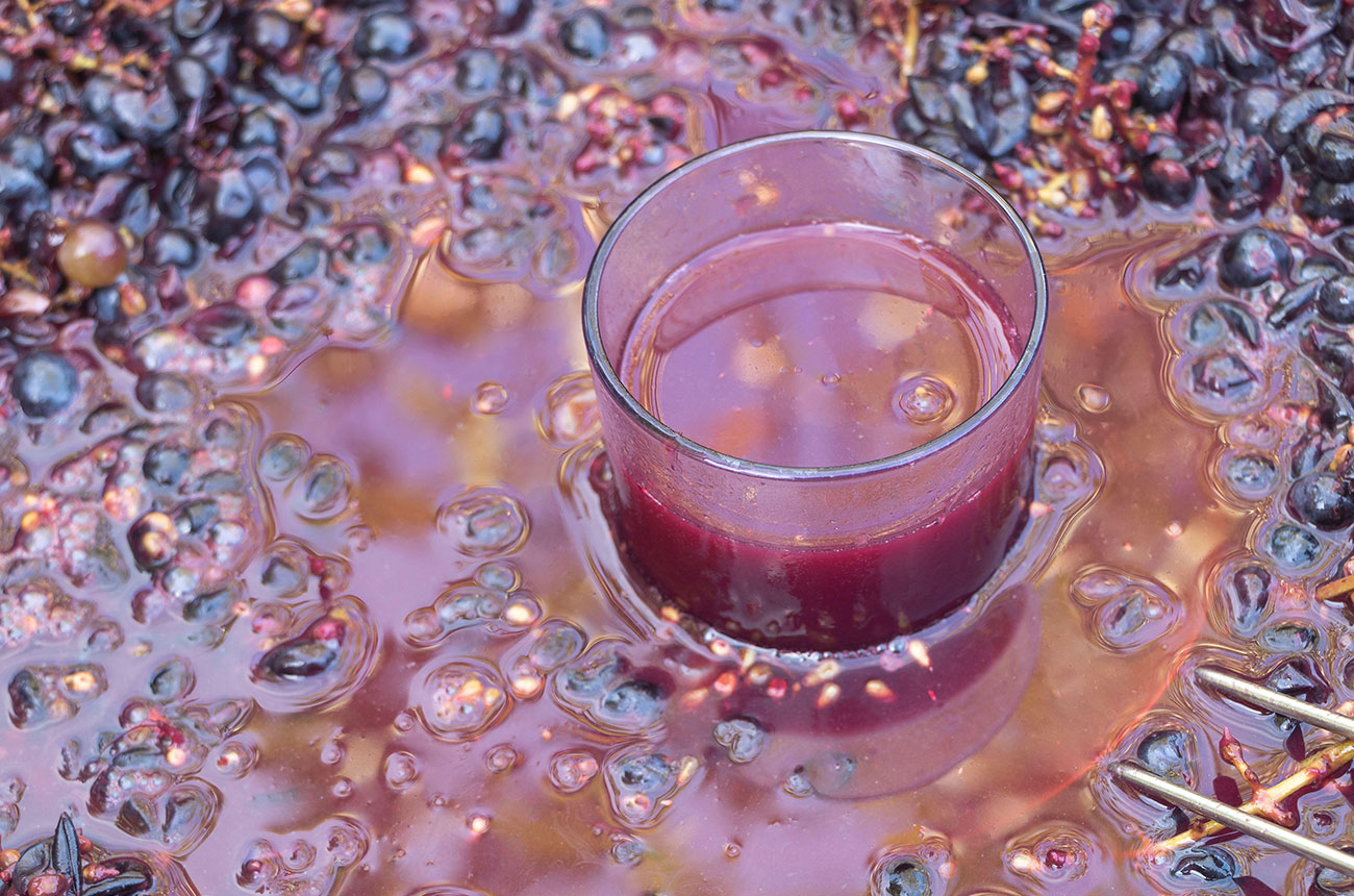 Fresh off the wine press: The ‘other’ nouveau wines bringing joyous revelry in November