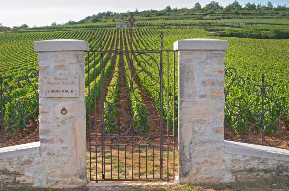 Gates of Domaine Bouchard Père et Fils