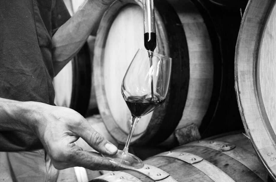 Rhône 2024 en primeur