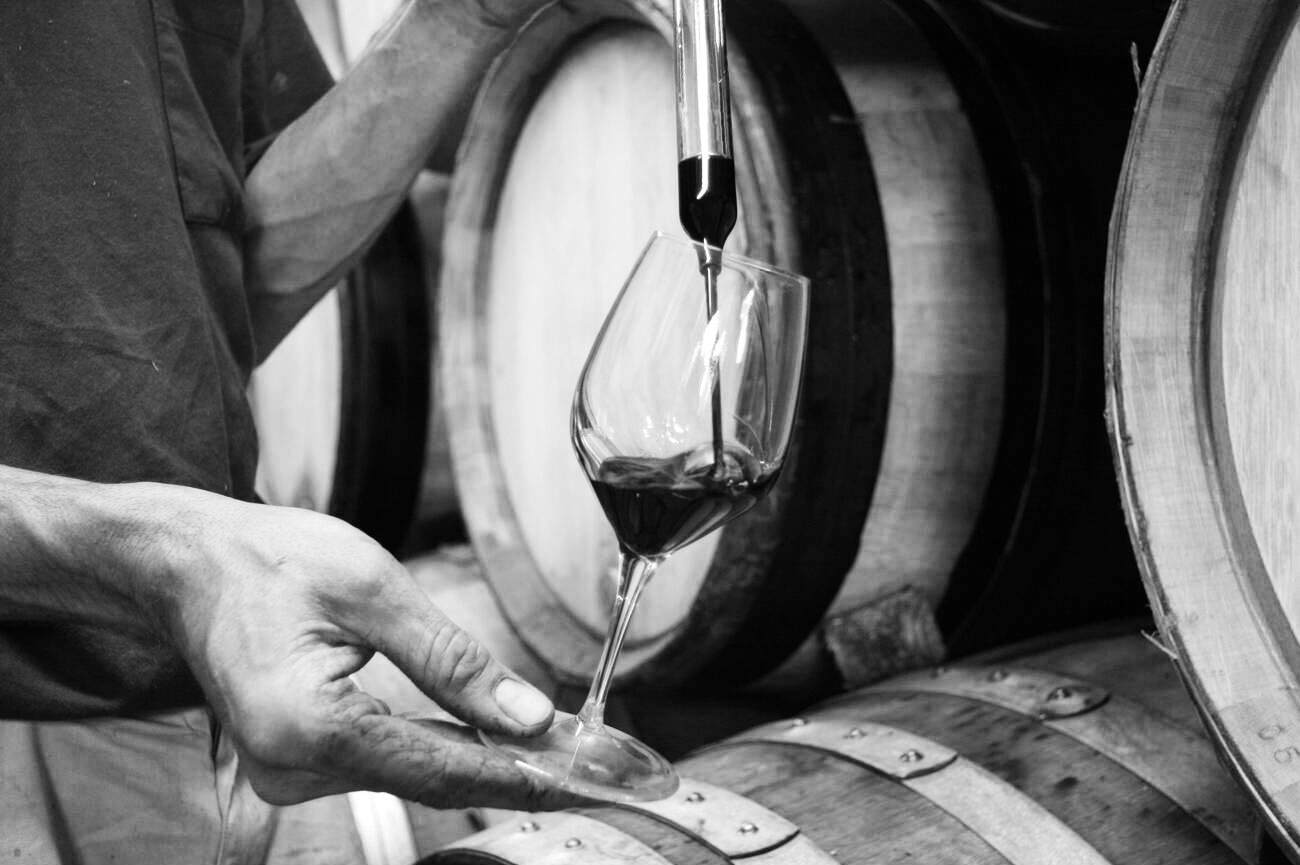 Rhône 2024 en primeur: Full report and the vintage's top-scoring wines