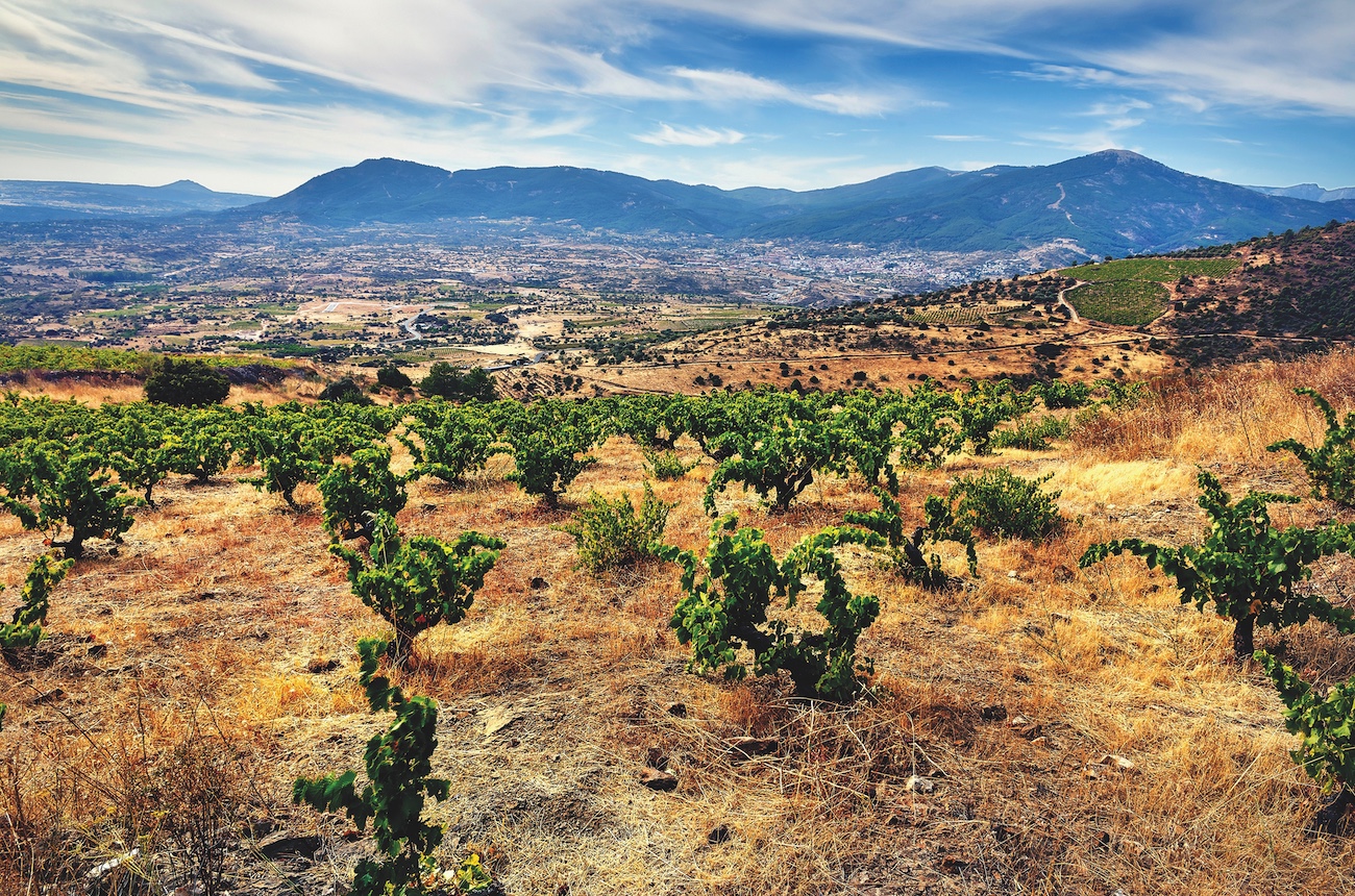 Drought: A thirst for answers in Spain