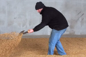 Sladovna v Echlinville Distillery