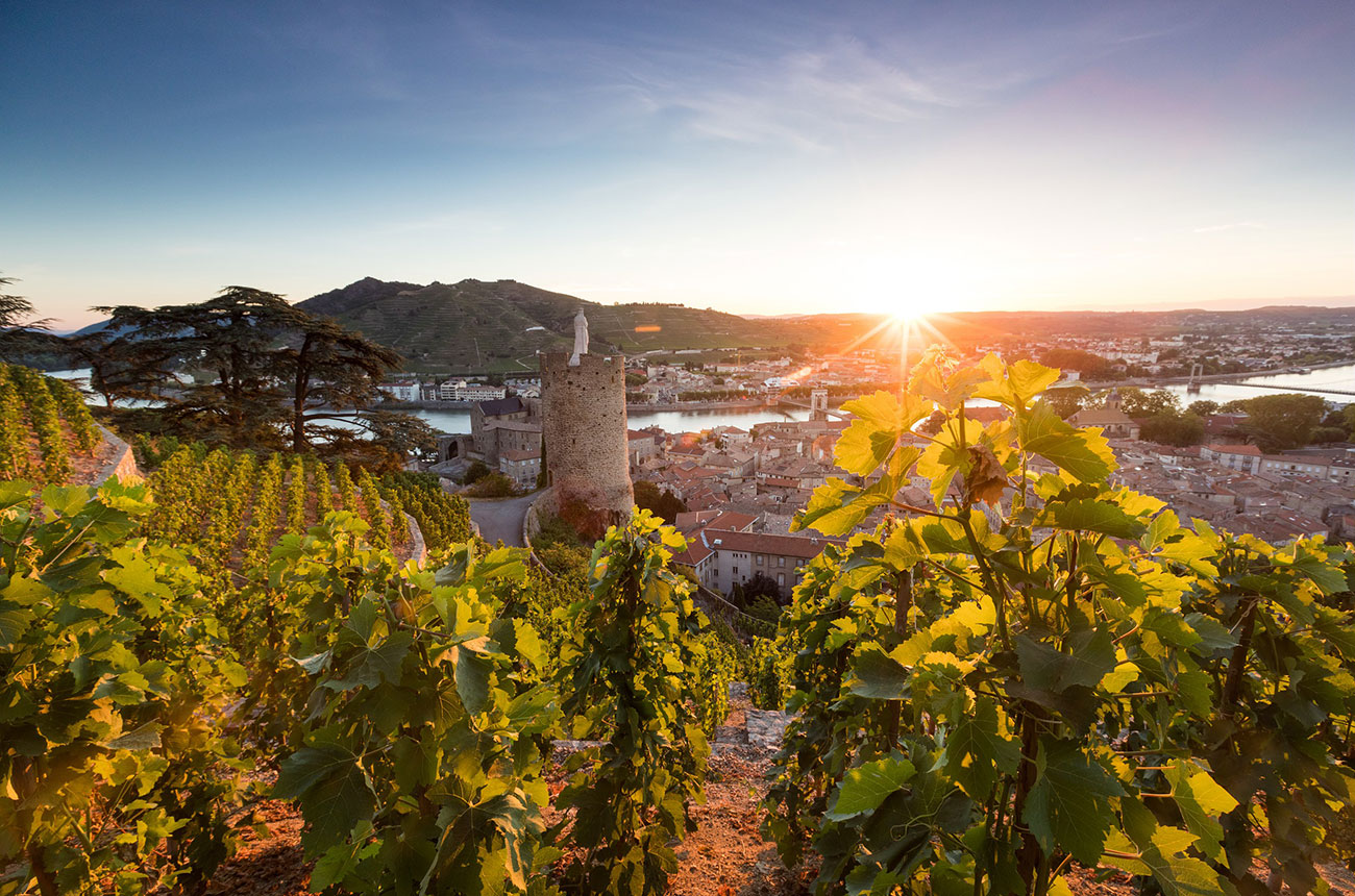 St-Joseph 2024: The best wines brimming with peppery spice