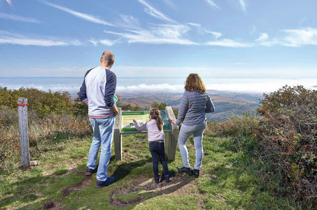 maison du cru, beaujolais