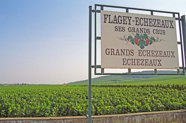 Echézeaux grand cru