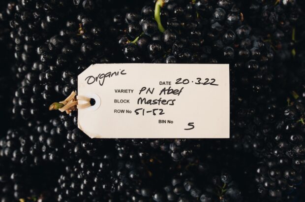 New Zealand Pinot Noir