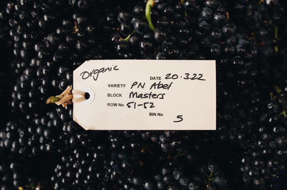 New Zealand Pinot Noir