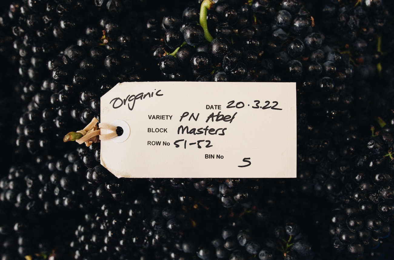 New Zealand Pinot Noir Report 2025