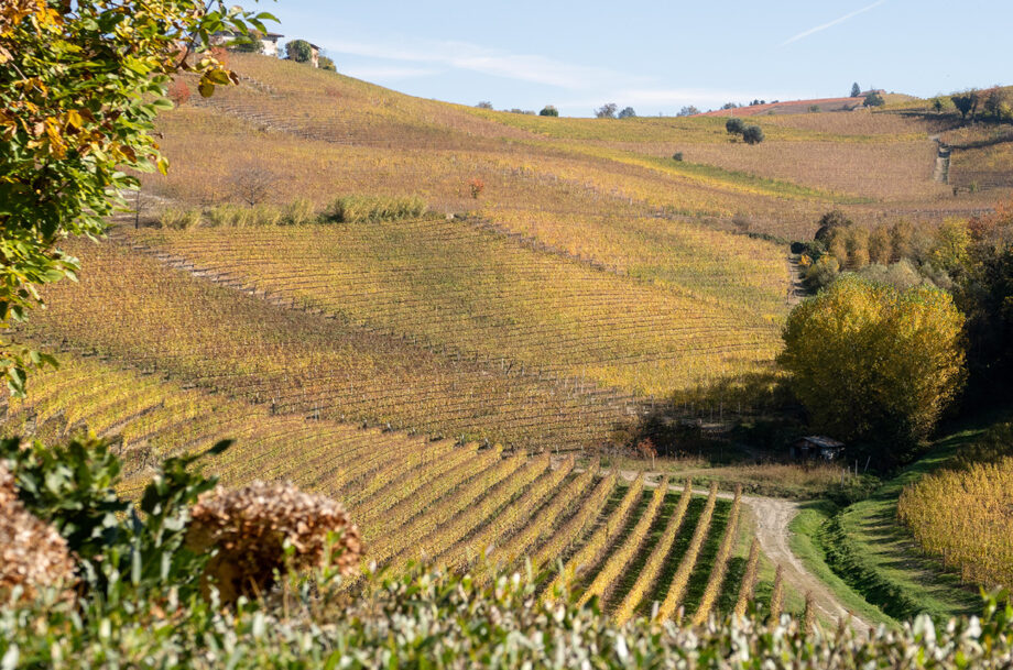 Bussia Soprana vineyard