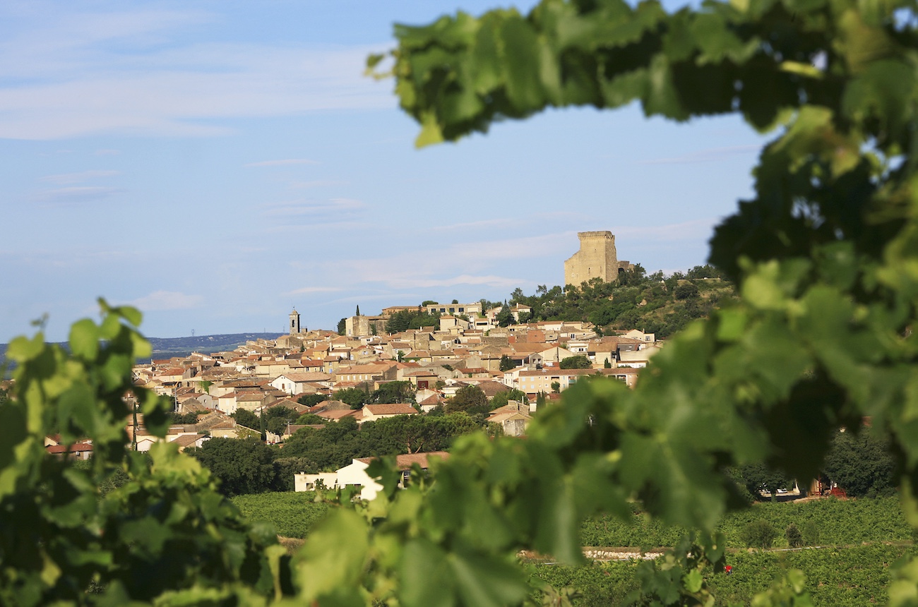 Wines of the Year 2025: The Rhône, Champagne & regional France