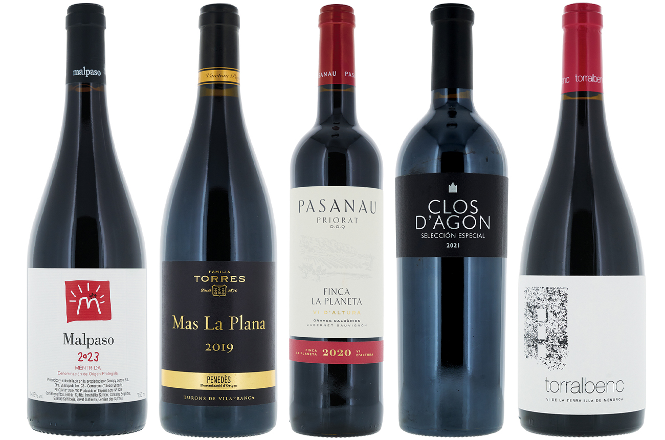 Red international varieties in Spain: Panel tasting results