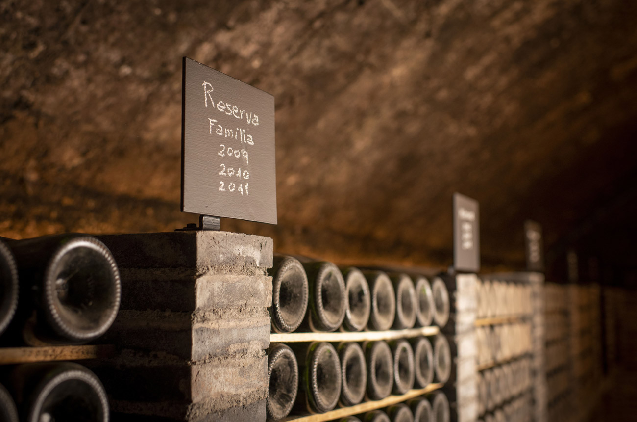 Juvé & Camps: Taking long-aged sparkling wines to new heights