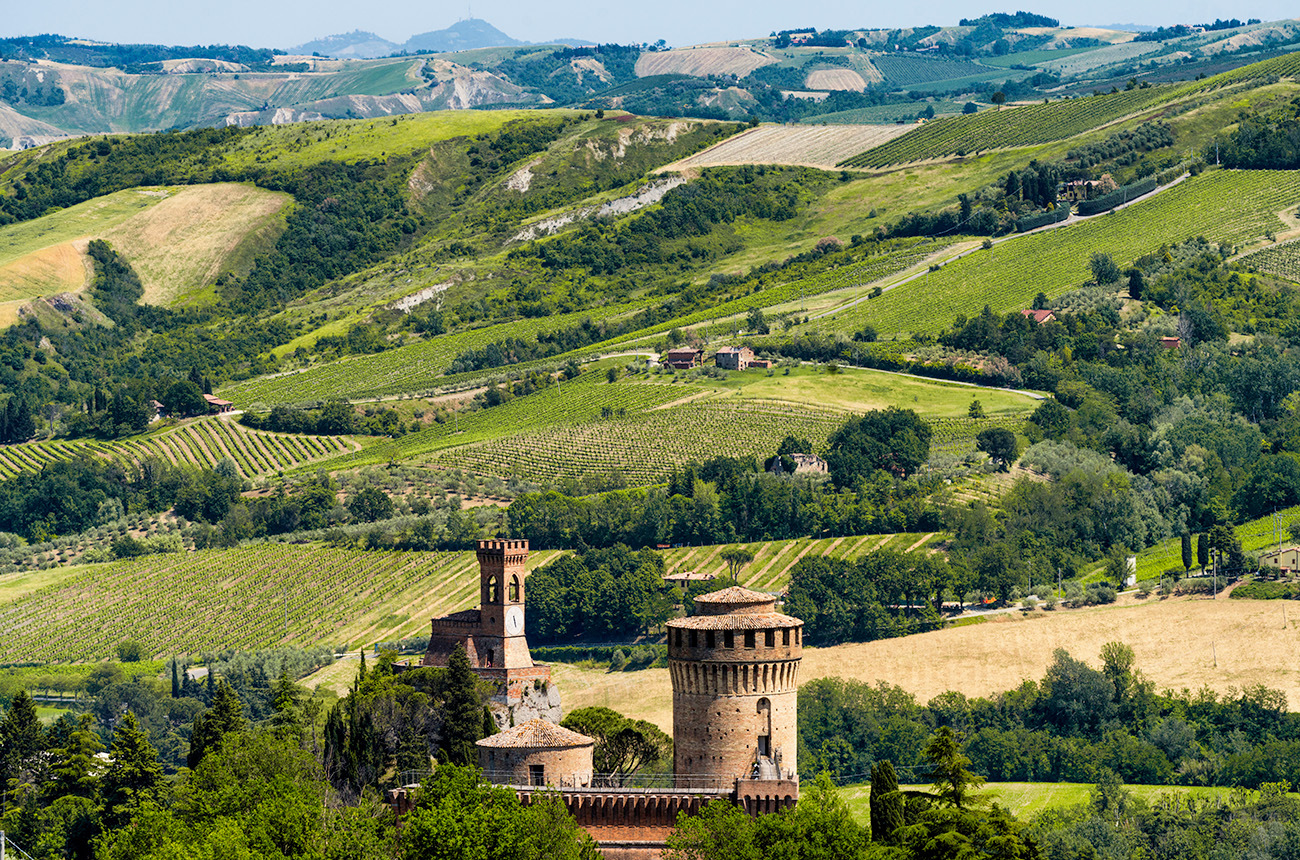 13 wines to help you understand Sangiovese from Romagna