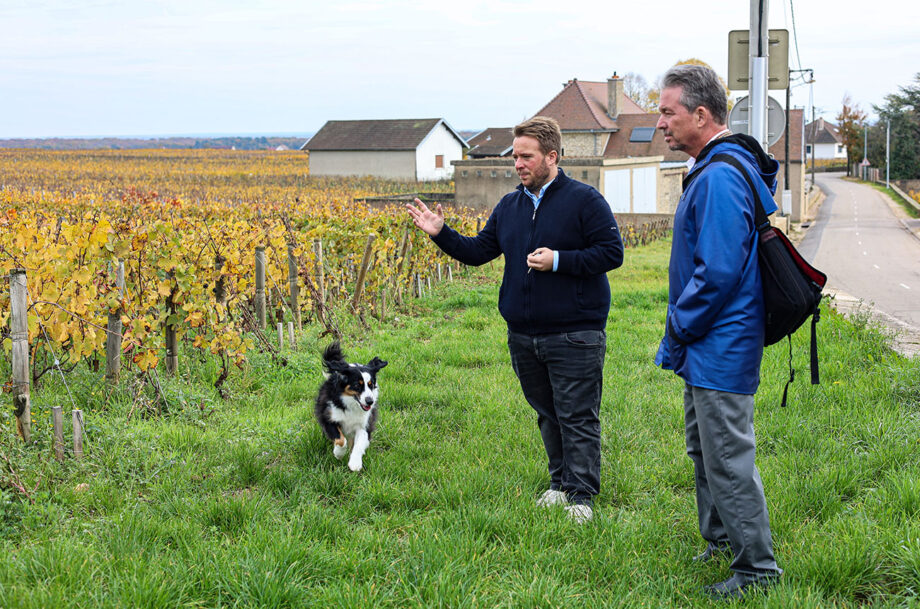 Chambolle-Musigny 2024