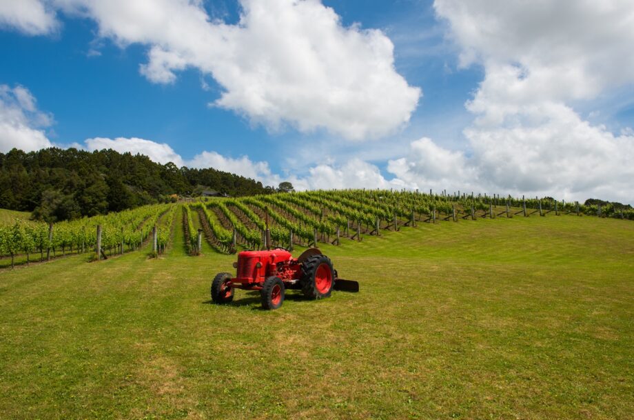 Australia, New Zealand, South Africa 2025