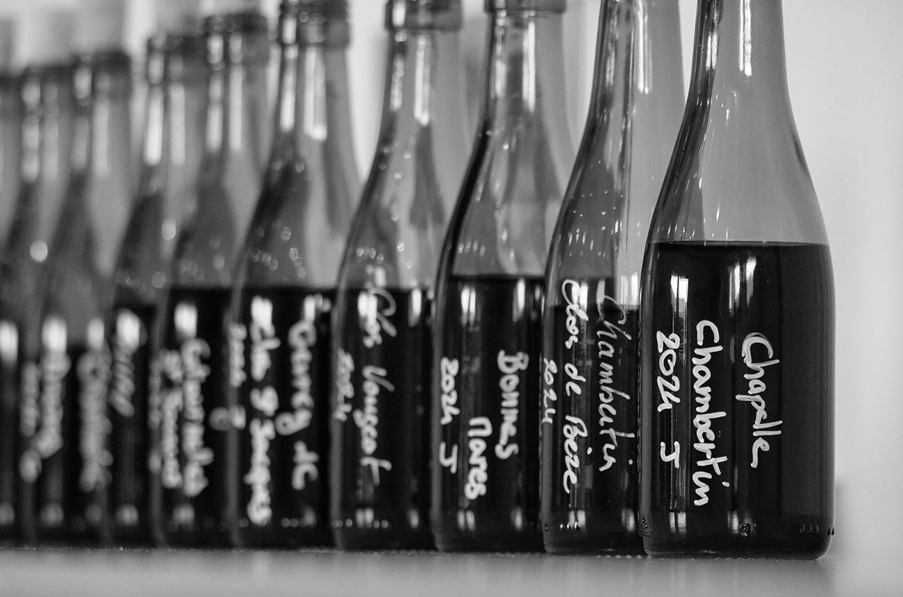 Gevrey-Chambertin 2024: The best of the year's ‘crisp and fresh’ wines