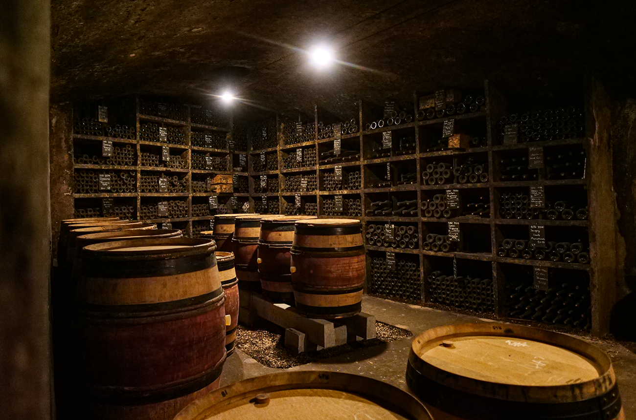 Meursault 2024: Top picks from a host of ageworthy wines