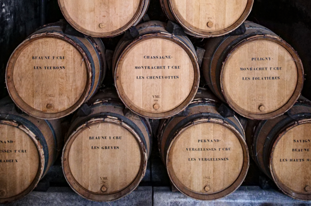 Chassagne & Puligny 2024