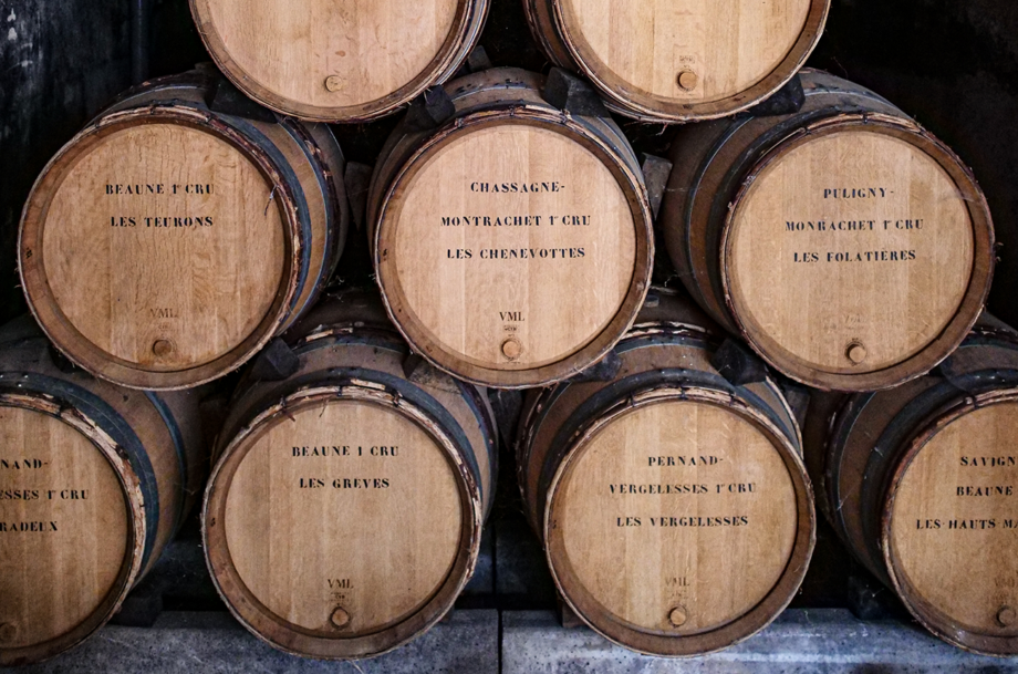 Chassagne & Puligny 2024