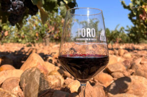 The region boats an impressive diversity of soils.