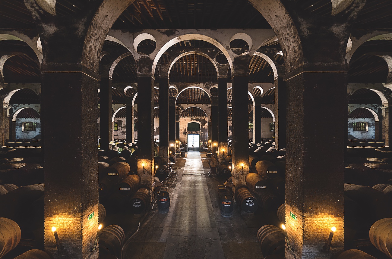 A life under flor: How Montserrat Molina became Sherry's leading lady