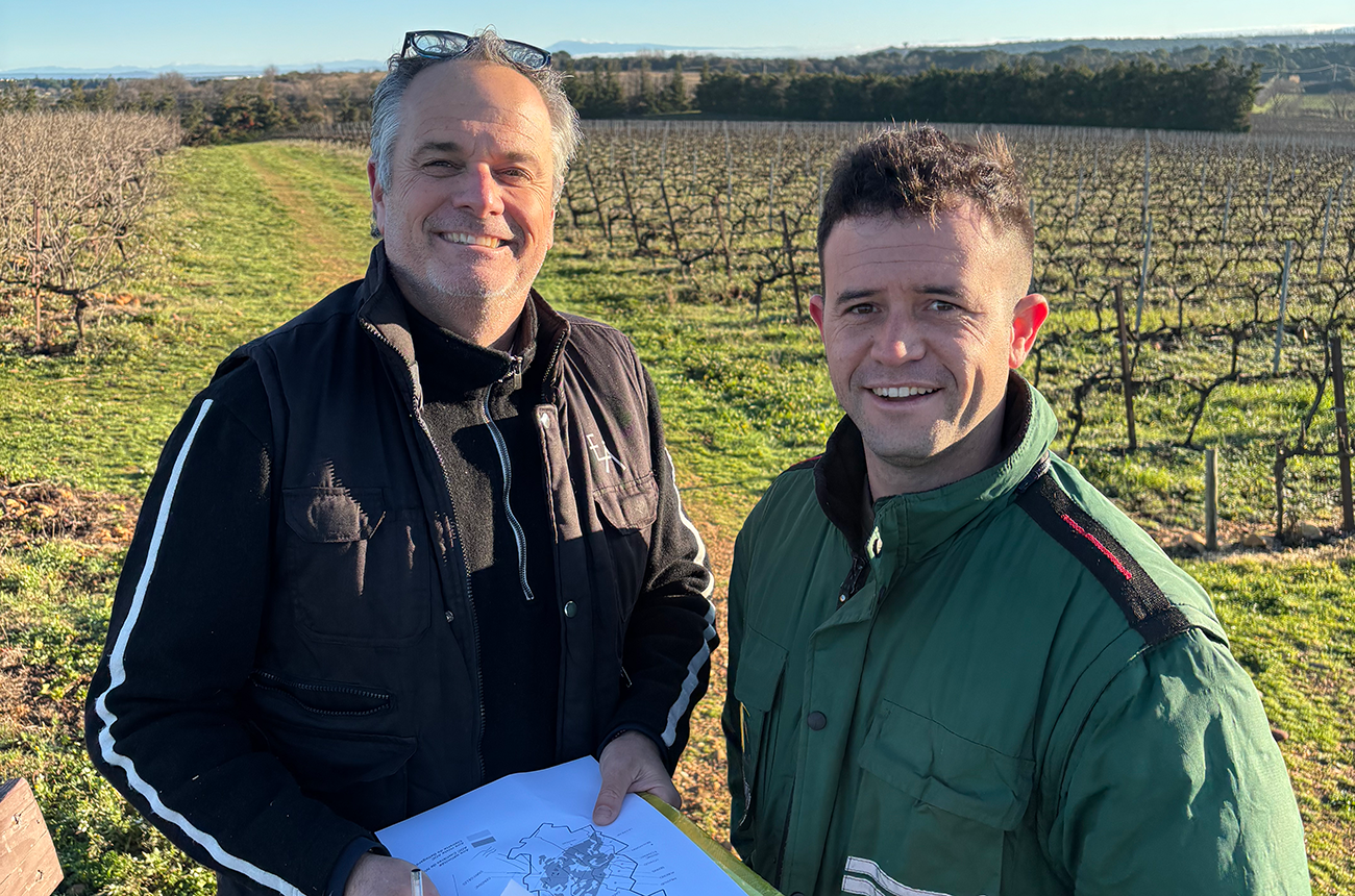 Essential oils and the fight against mildew: What producers around the world can learn from an estate in Costières de Nîmes