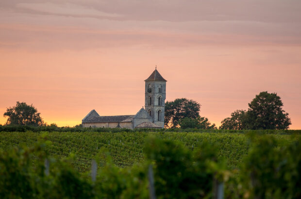 Sunset over the vineyards of Montagne near Saint Emilion.