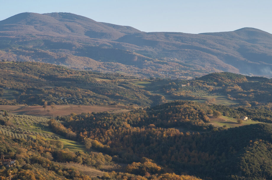 Brunello Riserva 2020