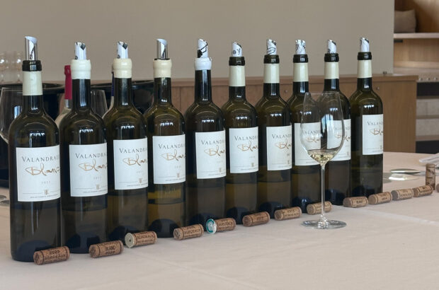 A vertical of Château Valandraud blanc