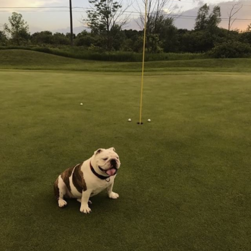 @foreplaypod