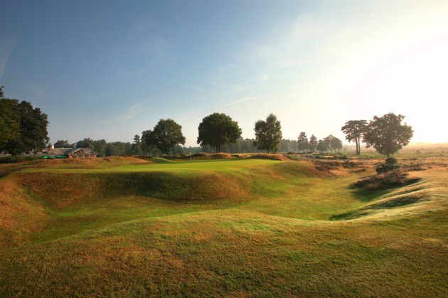 Hankley Common 18th