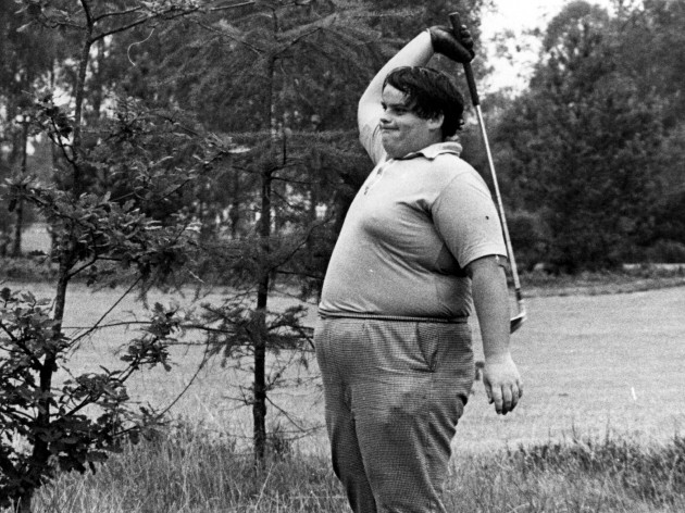 Should have gone comfort fit