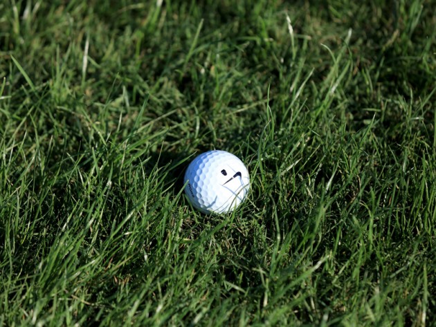 The found ball