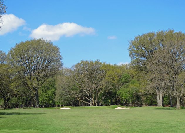 Make sure to take enough club at the short third