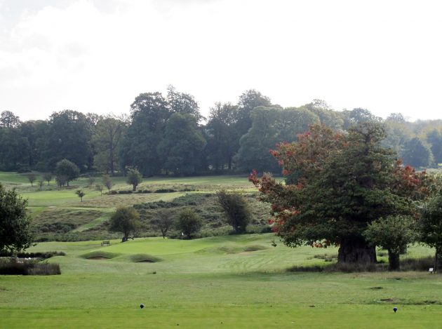 The very attractive downhill par-3 8th