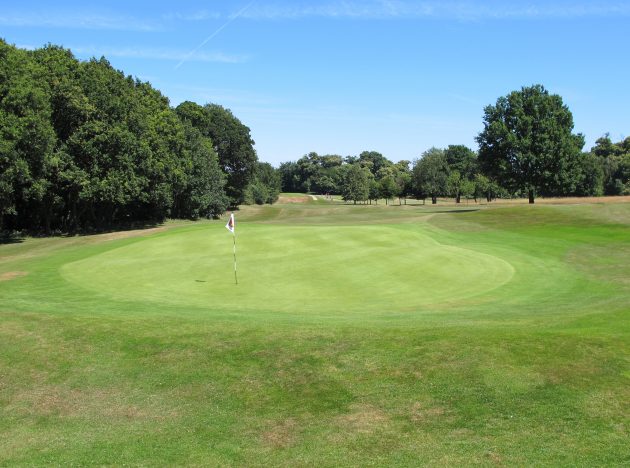 The fourteenth green