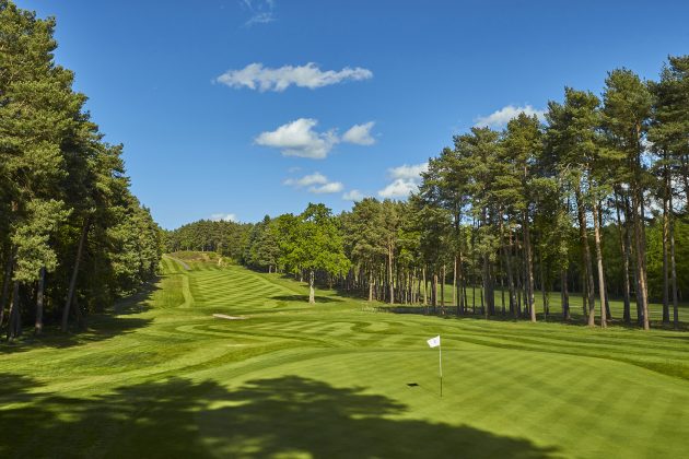 this week in golf