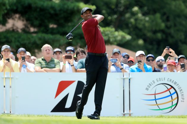 Tiger Woods