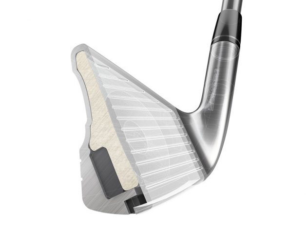 TaylorMade P790-Speed-Foam