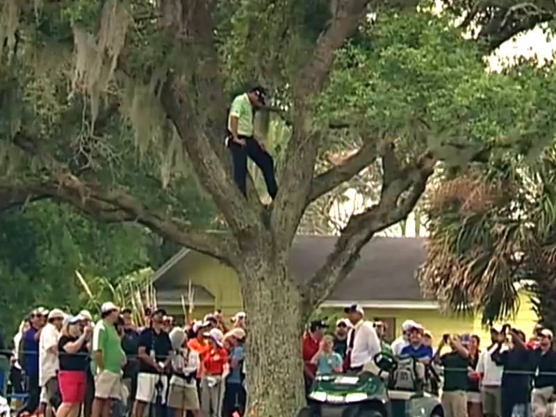 Sergio Garcia tree