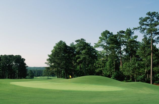 The Eighth Hole in 1995