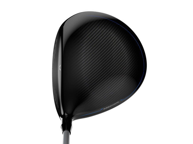 wilson-staff-D7-address-web