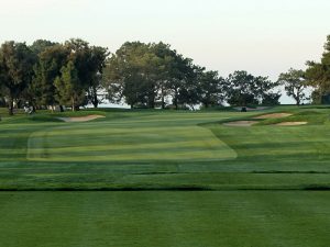 What Is Kikuyu Grass?